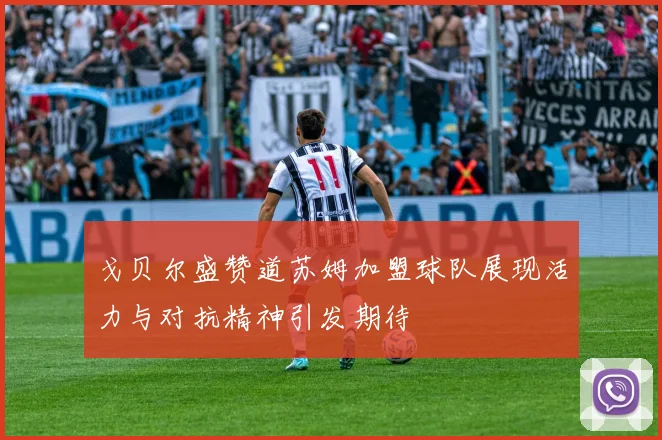 戈贝尔盛赞道苏姆加盟球队展现活力与对抗精神引发期待